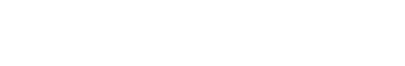 Otimiza, Ver Digital, 5em1, Zing e outras parceiras